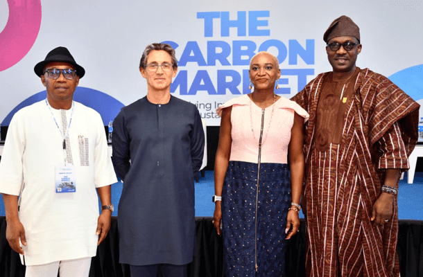 Private sector urged to leverage carbon market for Africa’s sustainable growth