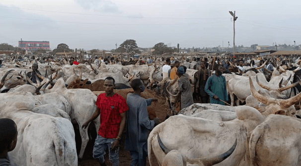 Resetting the economy: livestock industry localisation critical