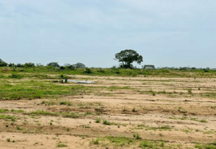 Housing in Ghana: What to look out for when buying land