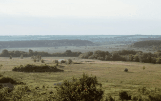 Land encroachment: The effects and the way forward for homeowners