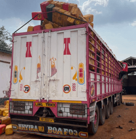 COCOBOD, GRA foil cocoa smuggling attempt at Togo border