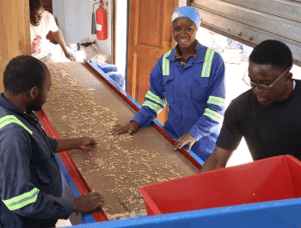 Breaking barriers: A woman’s path from countryside to career