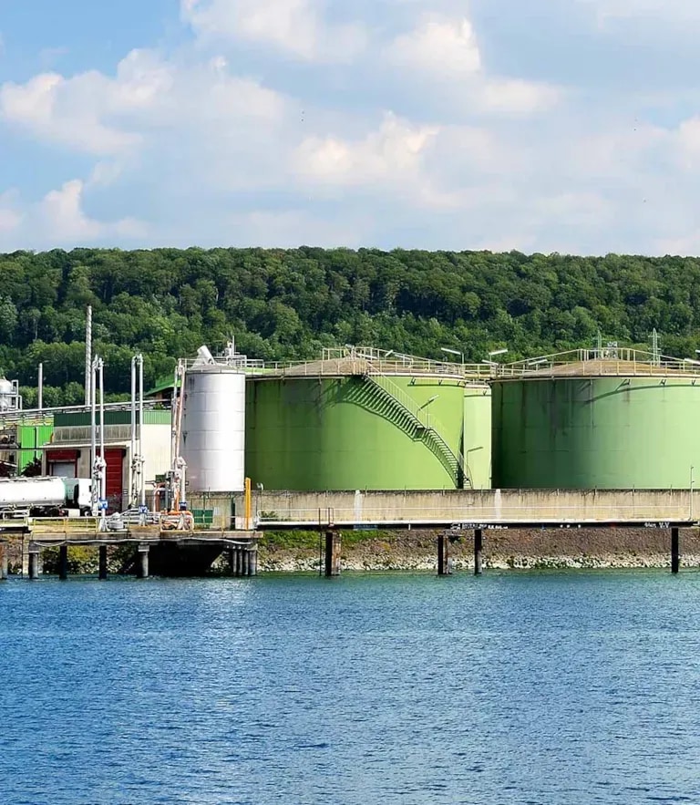 Editorial: Biofuels global shipping energy demand by 2030?