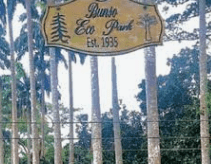 The essential list: Beyond Accra