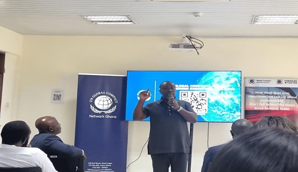 US$43bn needed annually to meet 2030 SDGs - UN economist