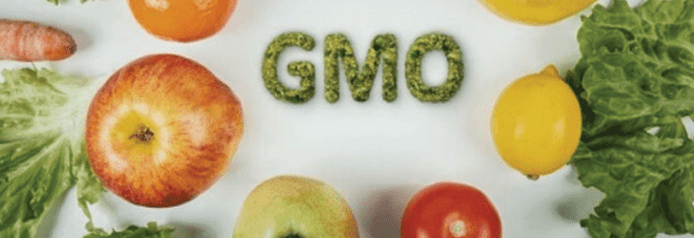 Gov’t urged to tighten laws on GMOs