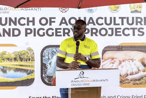 AngloGold’s piggery, aquaculture projects lauded