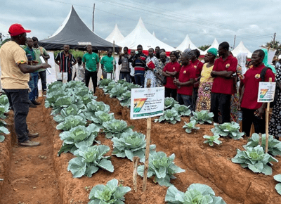 Over 10,000 vegetable farmers receive support to improve yields and income