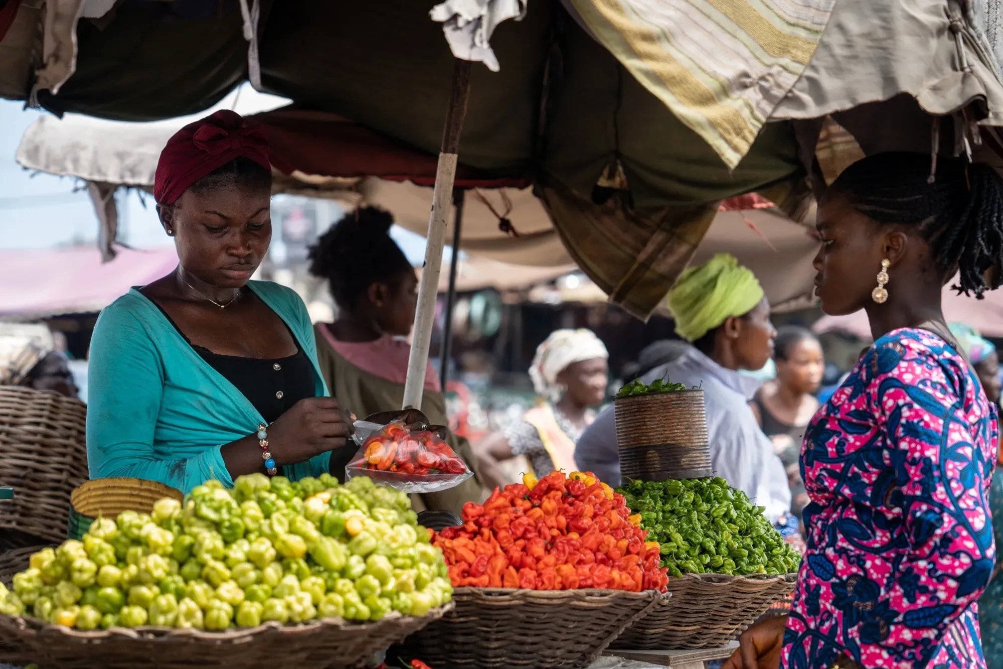 The economy: Structure, fundamentals, and the path to sustainable growth through SME investment