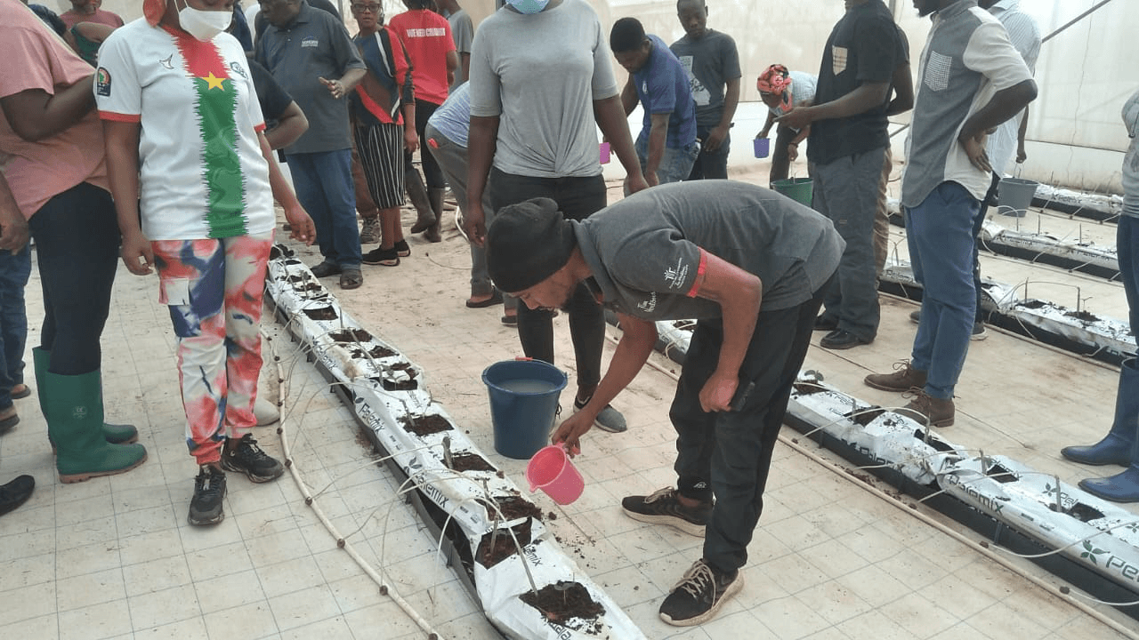 Marphlix Trust revives irrigation site to power youth agribusiness and exports