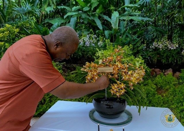 Naming of orchid after President Mahama in Singapore- inspiration from a flower