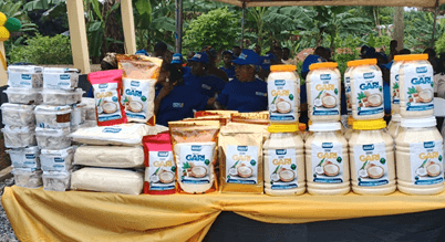 Asetenapa Cooperative Cocoa Farming and Marketing Union opens gari factory