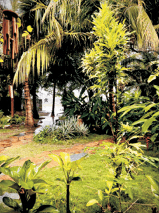AHANTA ECO LODGE, BUSUA, WESTERN