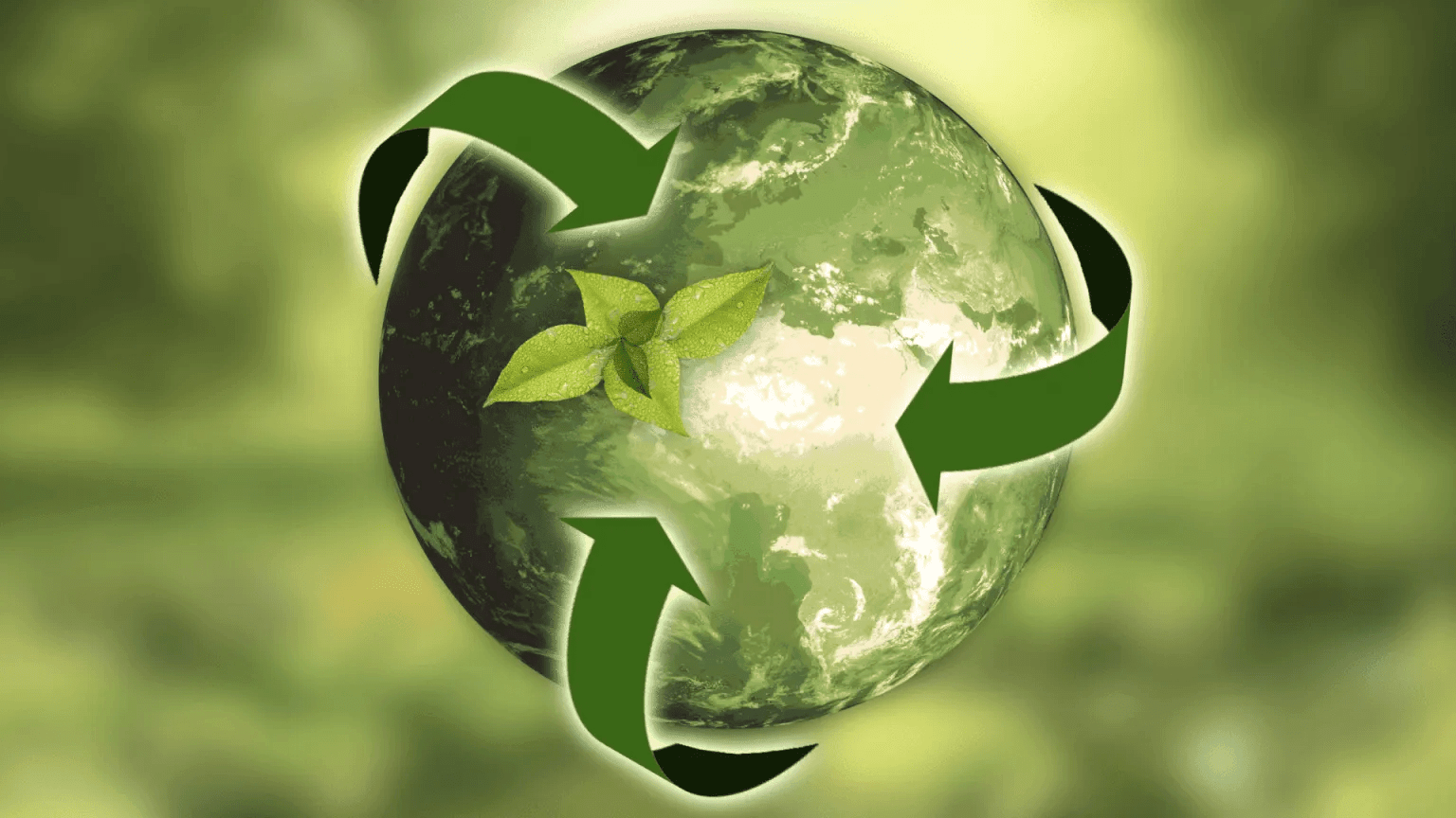 The circular economy revolution: Rethinking the plastic future: From The Customer-centric Entrepreneur Project