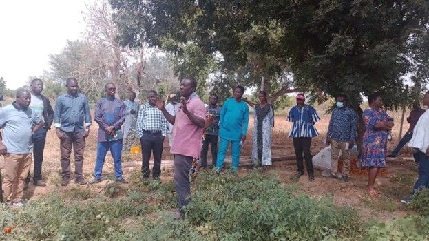 Horticulturists seek gov’t support to tackle root-knot nematode in Upper East