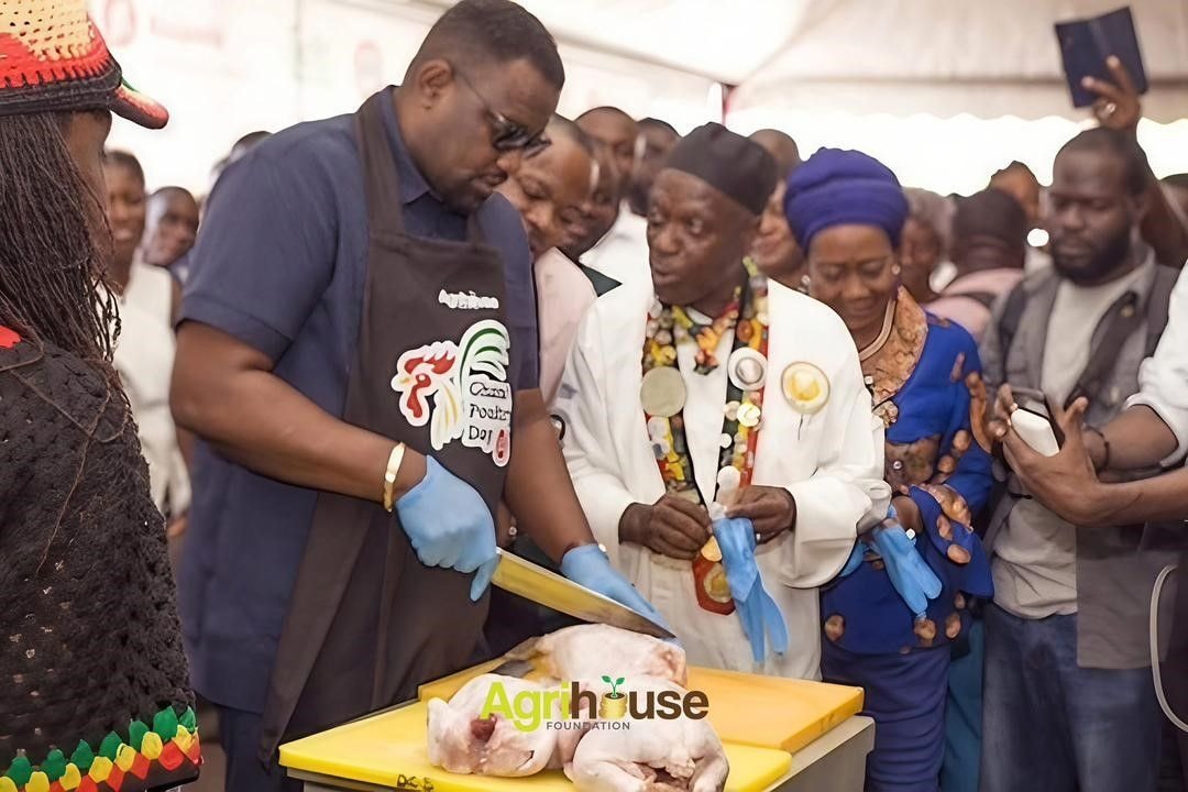 Poultry day 2026 set to champion local poultry production and food security