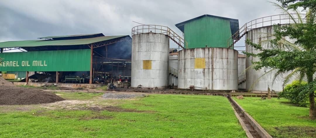 Arbitral Tribunal rules in favour of Moringa in dispute with B-Bovid Founder
