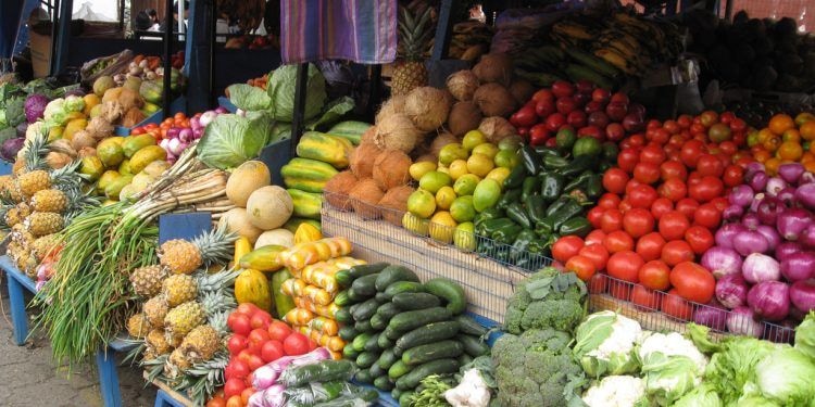 Food production under threat as farmers sound alarm over delayed subsidies