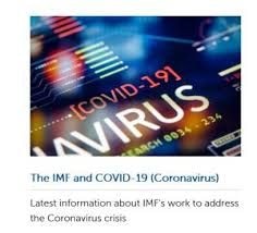 COURAGE UNDER FIRE: Policy responses in emerging market and developing economies to the COVID-19 pandemic