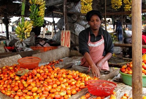 Pritha Mitra and Seung Mo Choi's thoughts ... Safeguarding Africa’s food security in the age of COVID-19