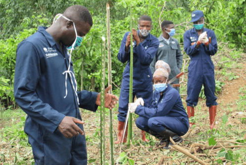 Boost for cocoa’s future …MASO readies over 12,000 youth to take over from aging farmers