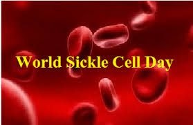 Sickle Cell Foundation marks 2020 World Sickle Cell Day with a Virtual lecture
