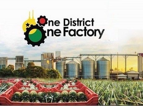 1D1F companies gets GH¢34m tax exemptions amid revenue shortfalls