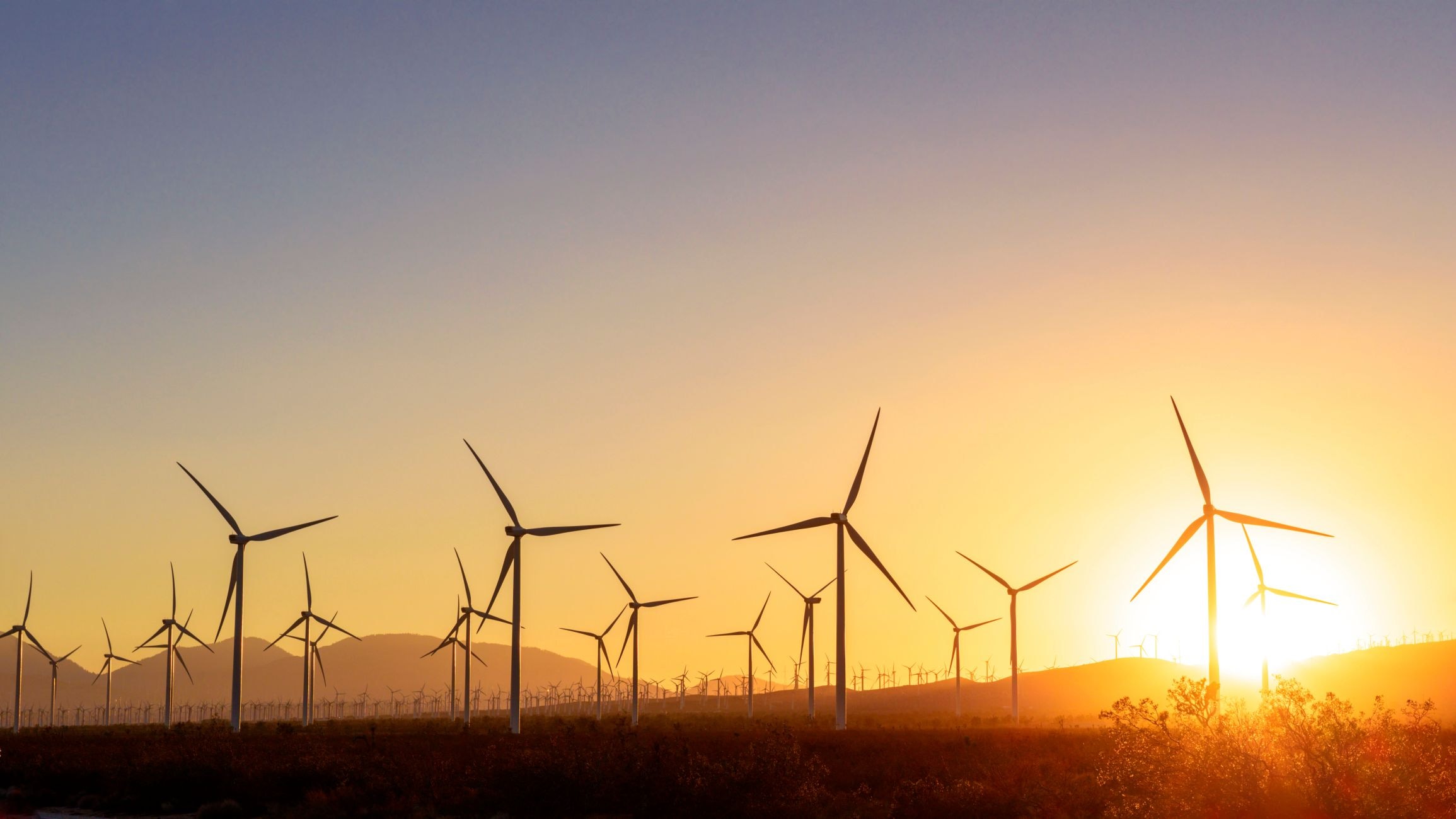 1,000MW wind power project halted