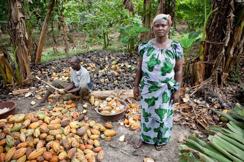 German confectioners want LID tariff paid directly to farmers in Ghana & Ivory Coast