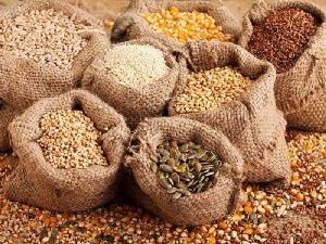 CSOs call on gov't, political parties to empower local seed industry