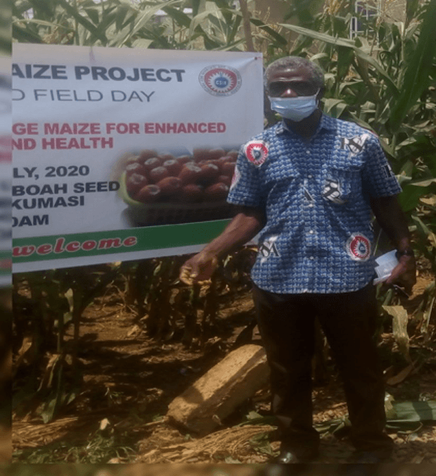 CSIR produces immune-boosting maize varieties