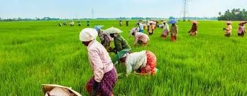 Africa farmers and workers to meet on trade and development