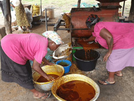 Solidaridad, Food and Drugs Authority collaborate to improve quality of palm oil
