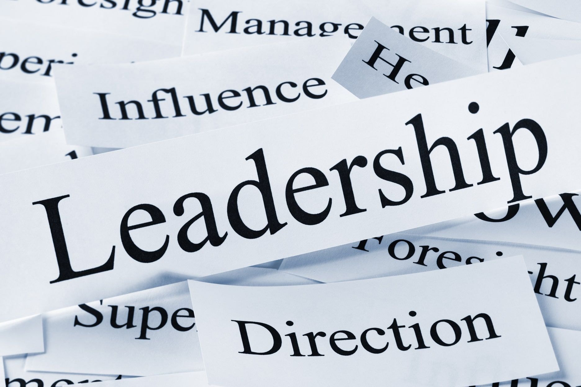 This is Leadership: Leader reflections