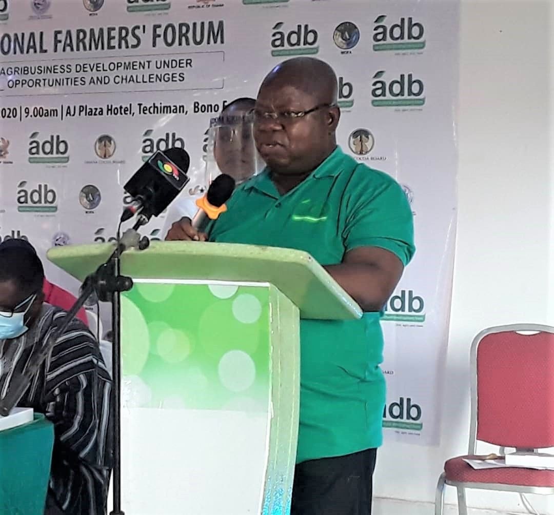ADB to allocate 50% loan portfolio to Agric