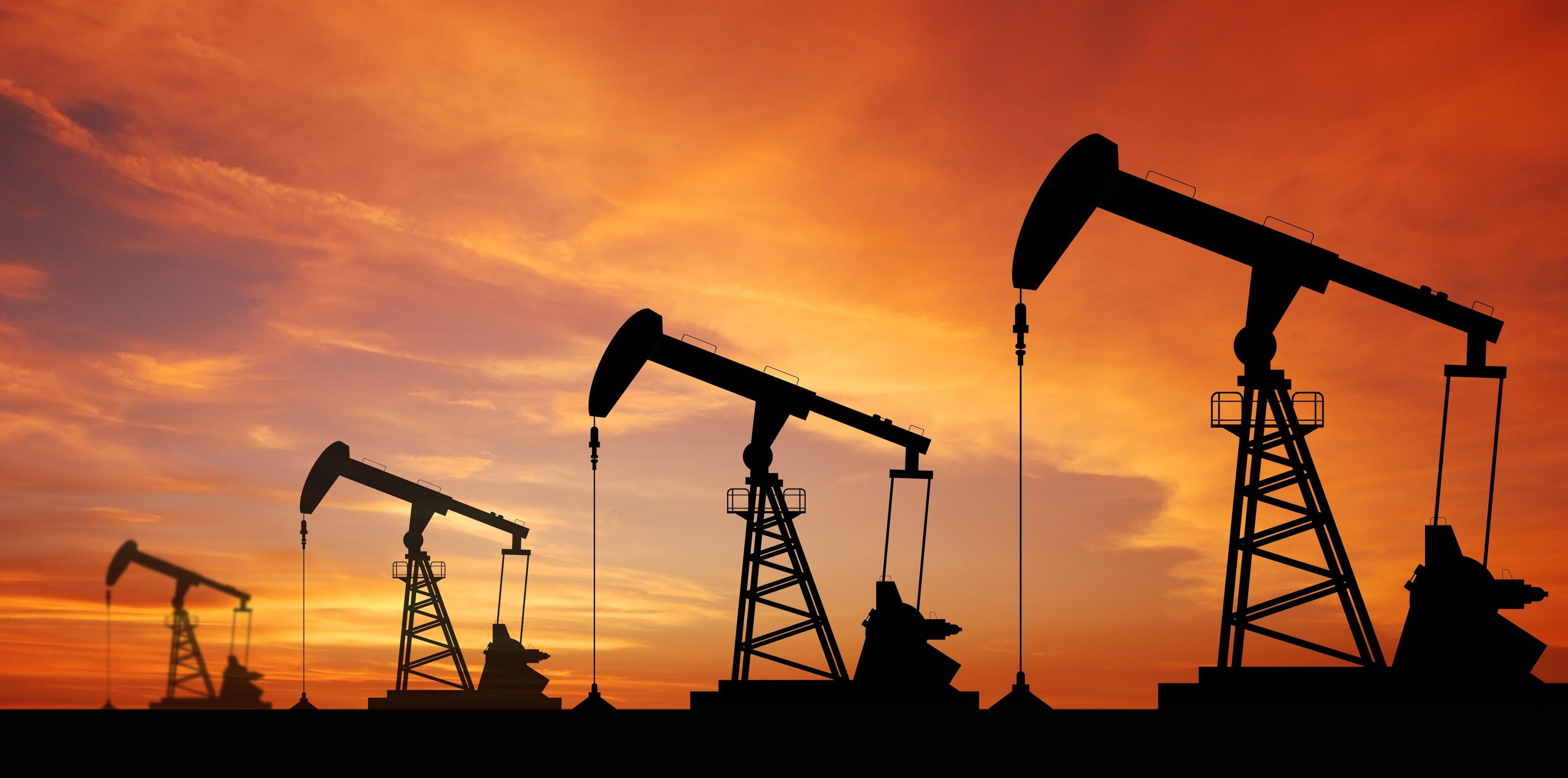 Only 20% gained from US$31bn petroleum revenue in 10yrs