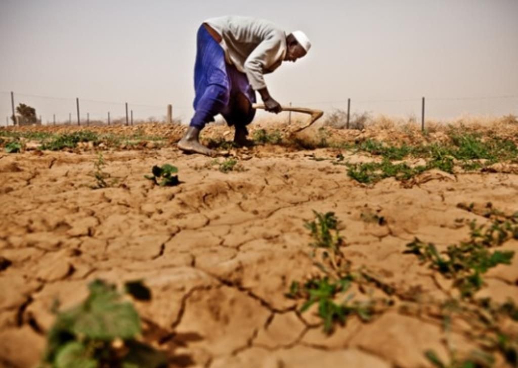 Ensuring food security demands change in fundamentals of production – Experts