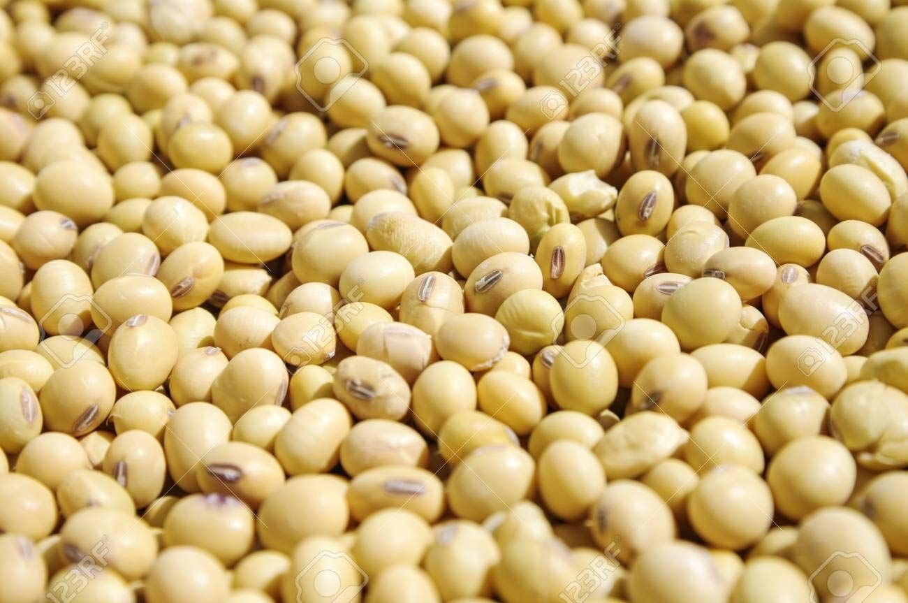 Economic opportunities in the trade of soya