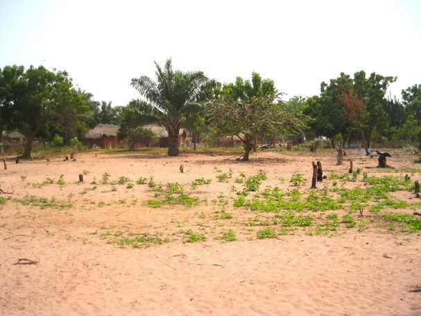Indiscipline in the land market
