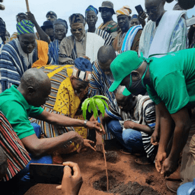 250,000 trees planted in Northern Region to mark ‘Green Ghana’ initiative