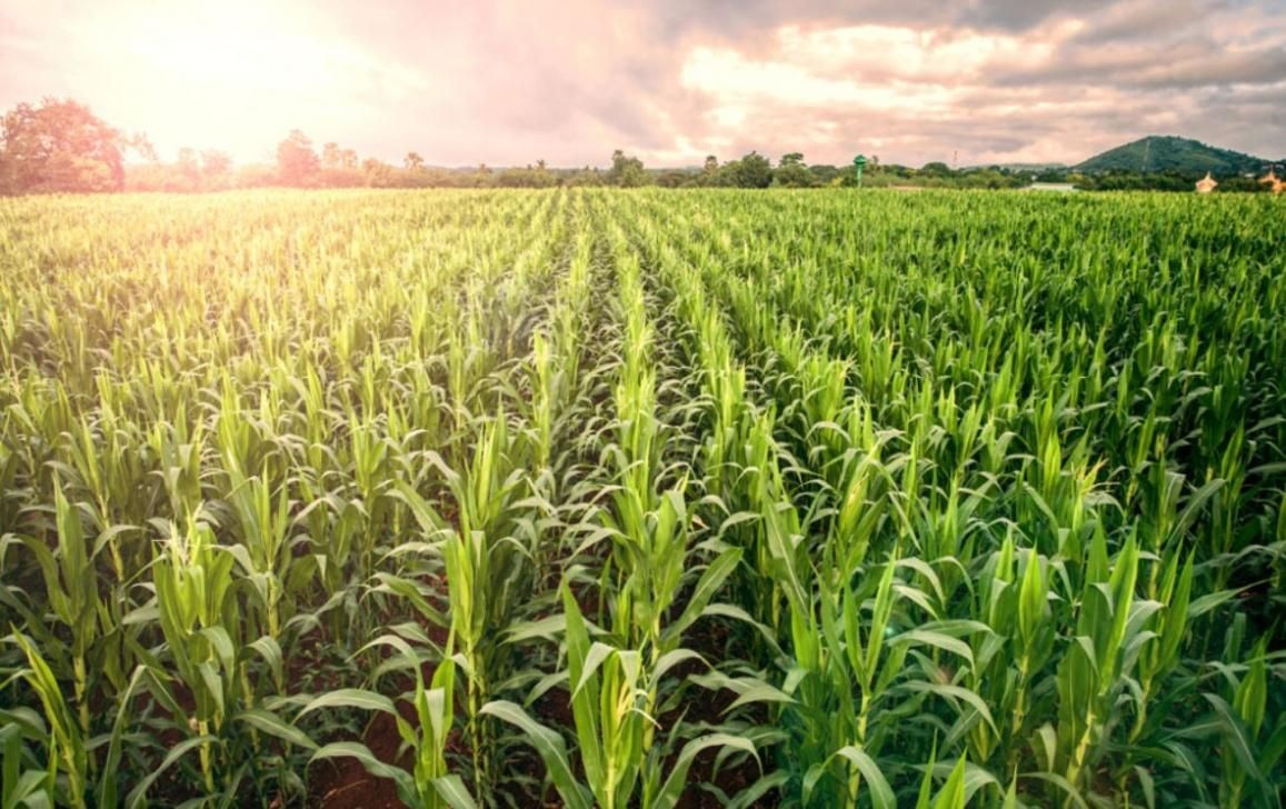 Italian cold chain and logistics giants ready for long-term partnerships in Ghana