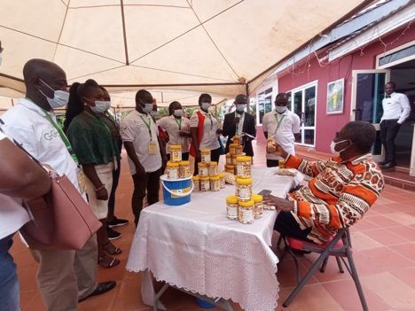 Non-functional Tree Crop Authority biting industry - Cashew processor