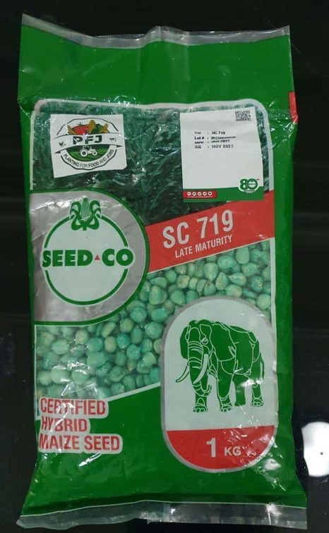 AMG Fertilisers introduces SC 719 hybrid maize seeds