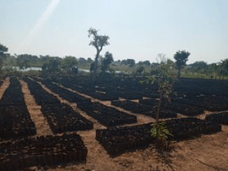 Supporting sustainable charcoal production with improved Kilns