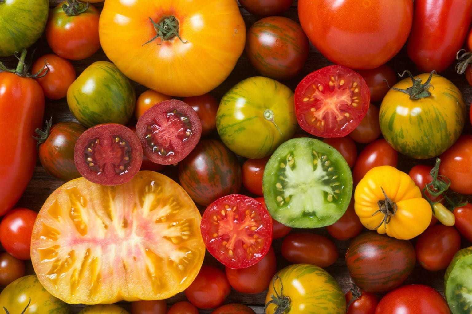 Let’s go farming: Growing tomatoes, tips for a healthy and fruitful plant