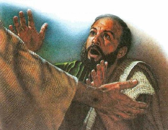 The Thomas who sees, touches yet fails to believe and act