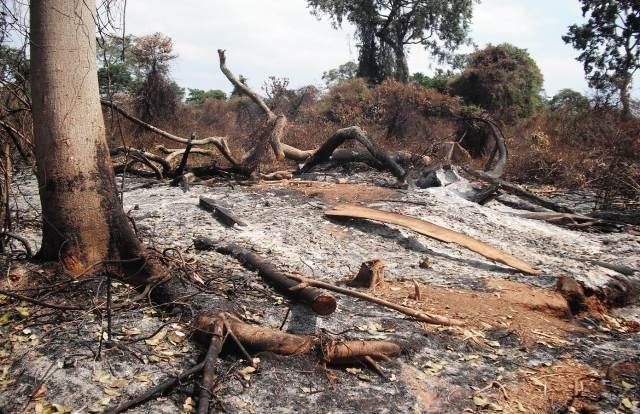 Ghana secures US$103m World Bank facility to reverse land degradation