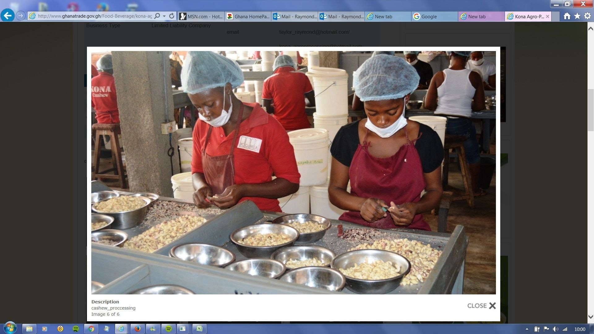 Economy loses US$100m revenues annually on cashew nuts - Expert