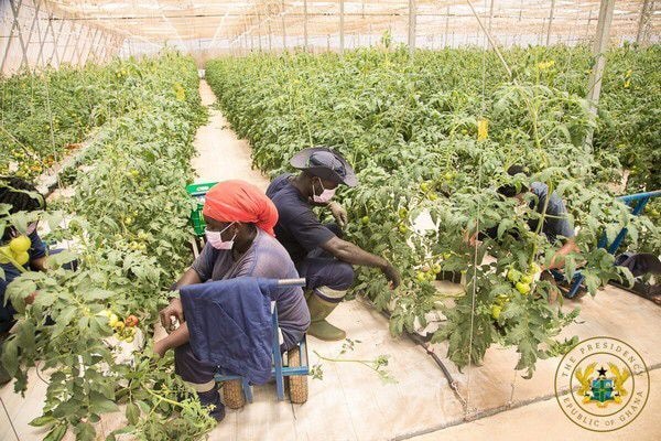 TACKLING FOOD INSECURITY: 3 institutions join Kosmos Innovation Center to set the pace