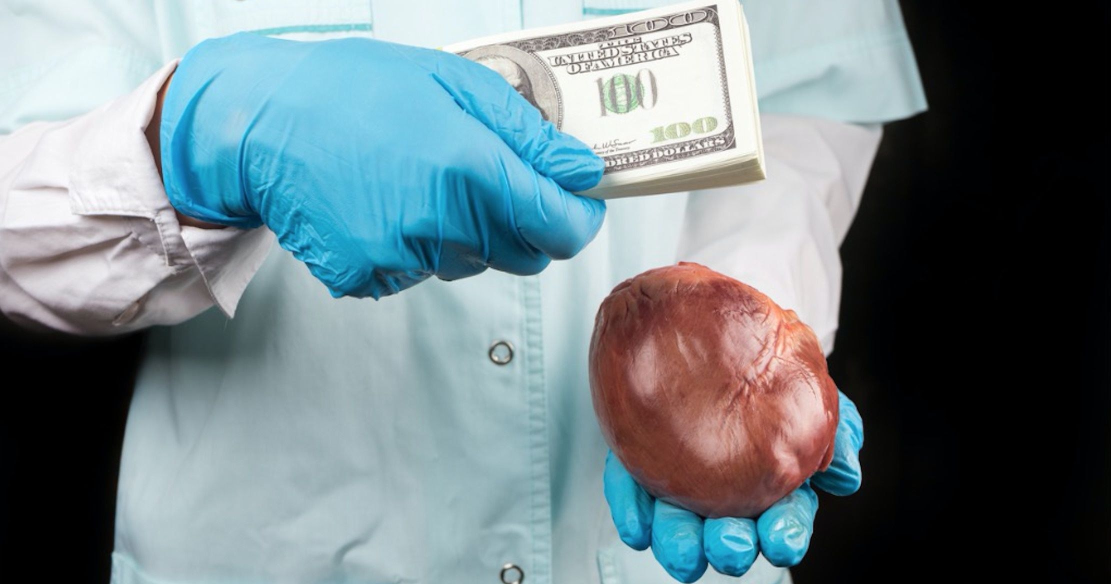 Lucrative human organ trade ‘alert’